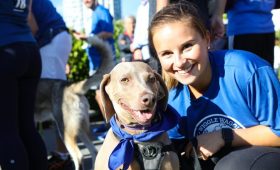 Wiggle Waggle Ottawa