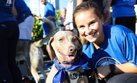 Wiggle Waggle Walk Run